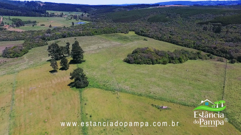 VAI ATE MANGUEIRA OVELHAS.00_02_10_12.Quadro028_50f4ba63f9797a13c6a9d7844c8af3eff7e19f2f.jpg